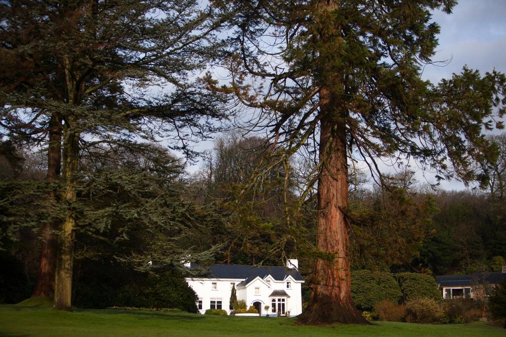 Ynyshir Restaurant And Rooms Machynlleth Exteriér fotografie